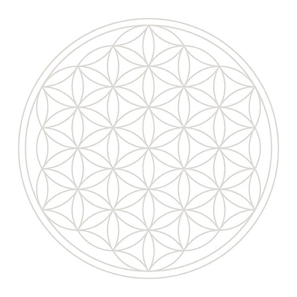 Cadus Family Krug 1,5 Liter white - UrQuelle