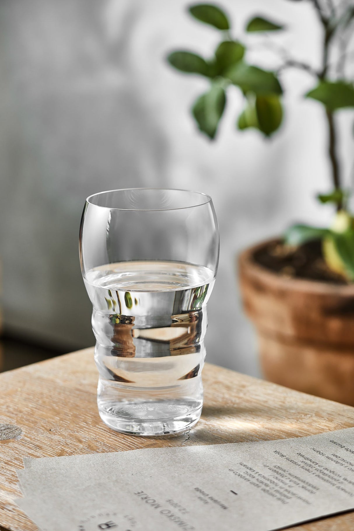 Trinkglas Galileo Lebensbaum Lasergravur - UrQuelle