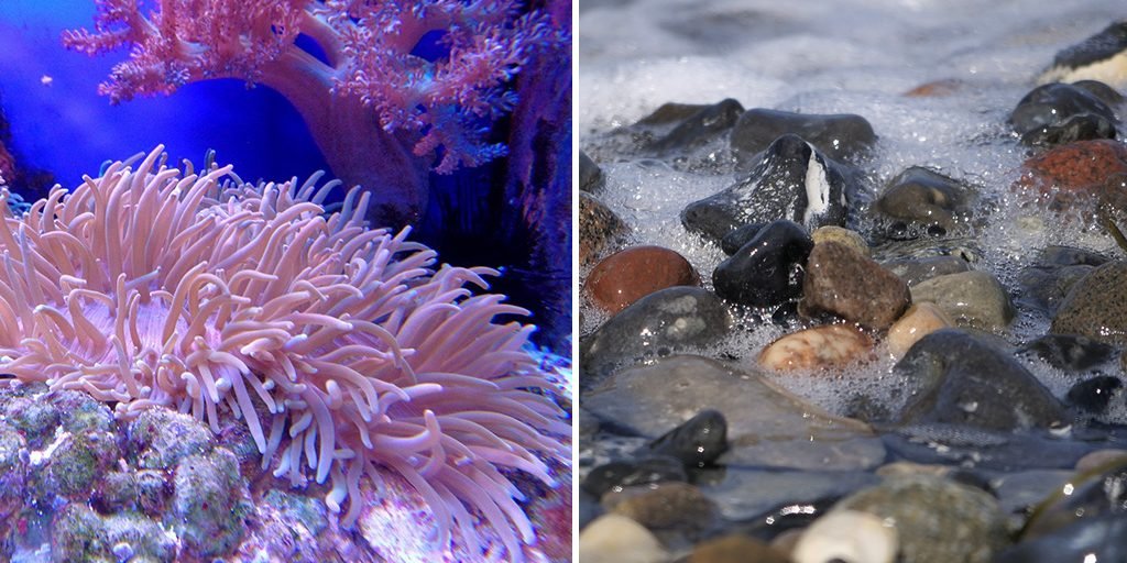 Warum gefiltertes Wasser immer mineralisiert werden sollte - Die Natur als Vorbild! - UrQuelle