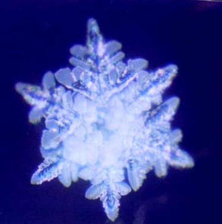 Wasserkristallbilder (Dr. Masaru Emoto)