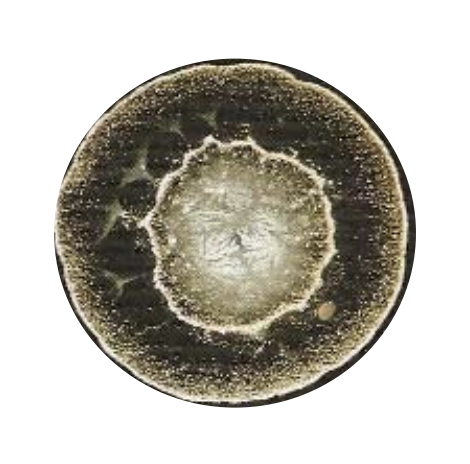 Tropfenbilduntersuchung