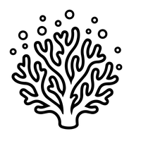 Remineralisierung