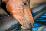 HYDROXIL Nutztiere Aqua Clean 300L - UrQuelle