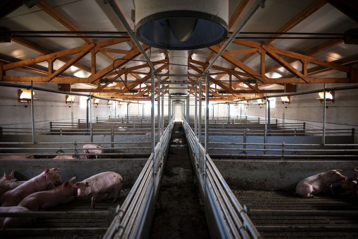 HYDROXIL Nutztiere & Tierzucht 1000L - UrQuelle