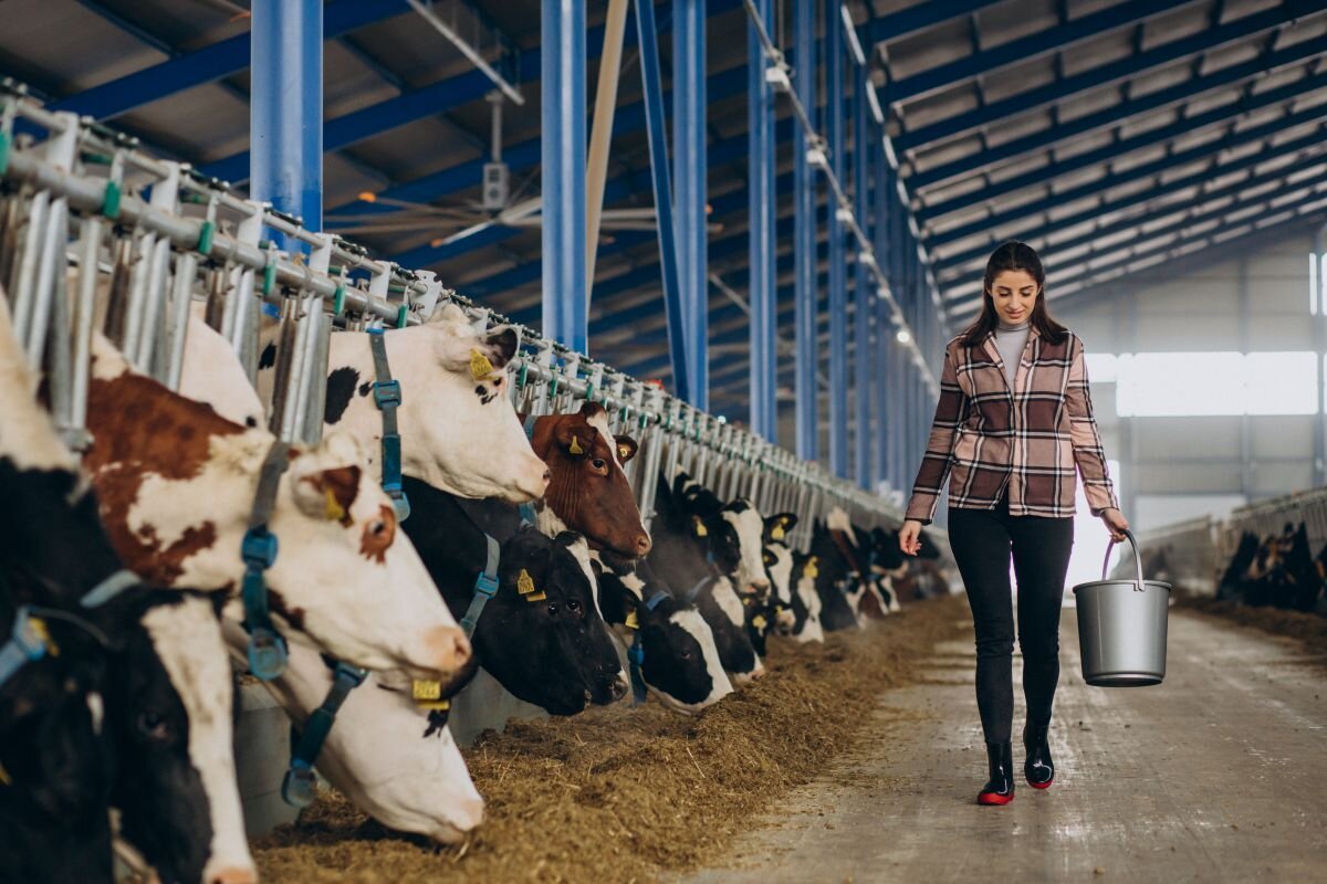 HYDROXIL Nutztiere & Tierzucht 300L - UrQuelle