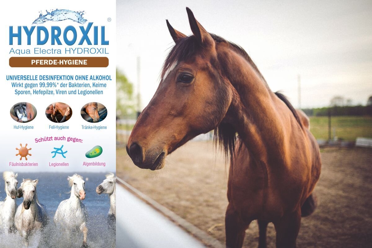 HYDROXIL Pferde Hygiene 6L - UrQuelle