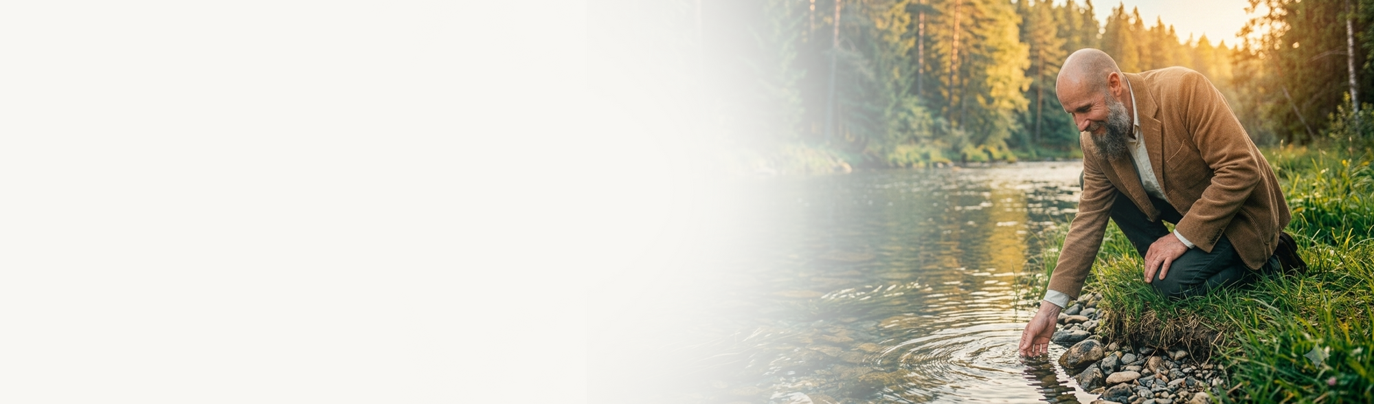 Ich bin kein Experte. Ich habe einfach der Natur zugesehen.